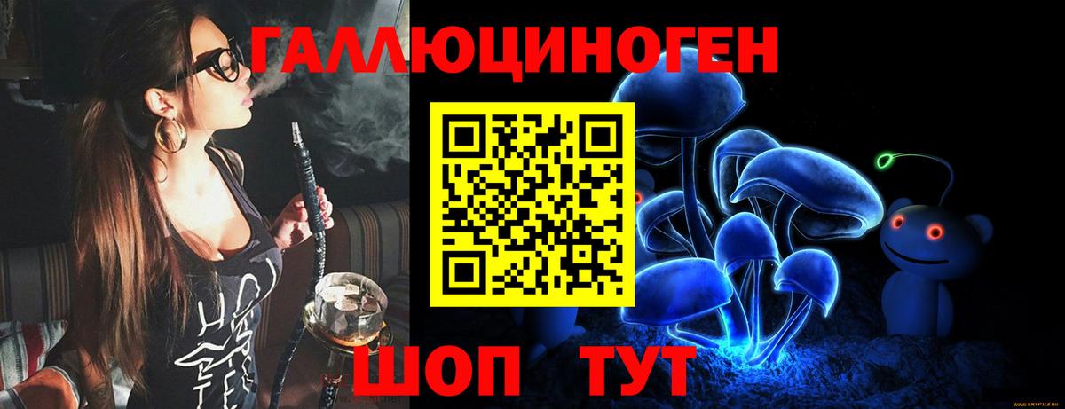 Псилоцибиновые грибы Psilocybine cubensis  купить закладку  Галлюциногенные грибы Psilocybe  Дзержинск  Вход с VPN 