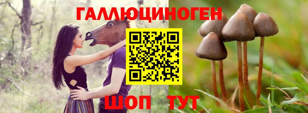 Псилоцибиновые грибы прущие грибы Дзержинск